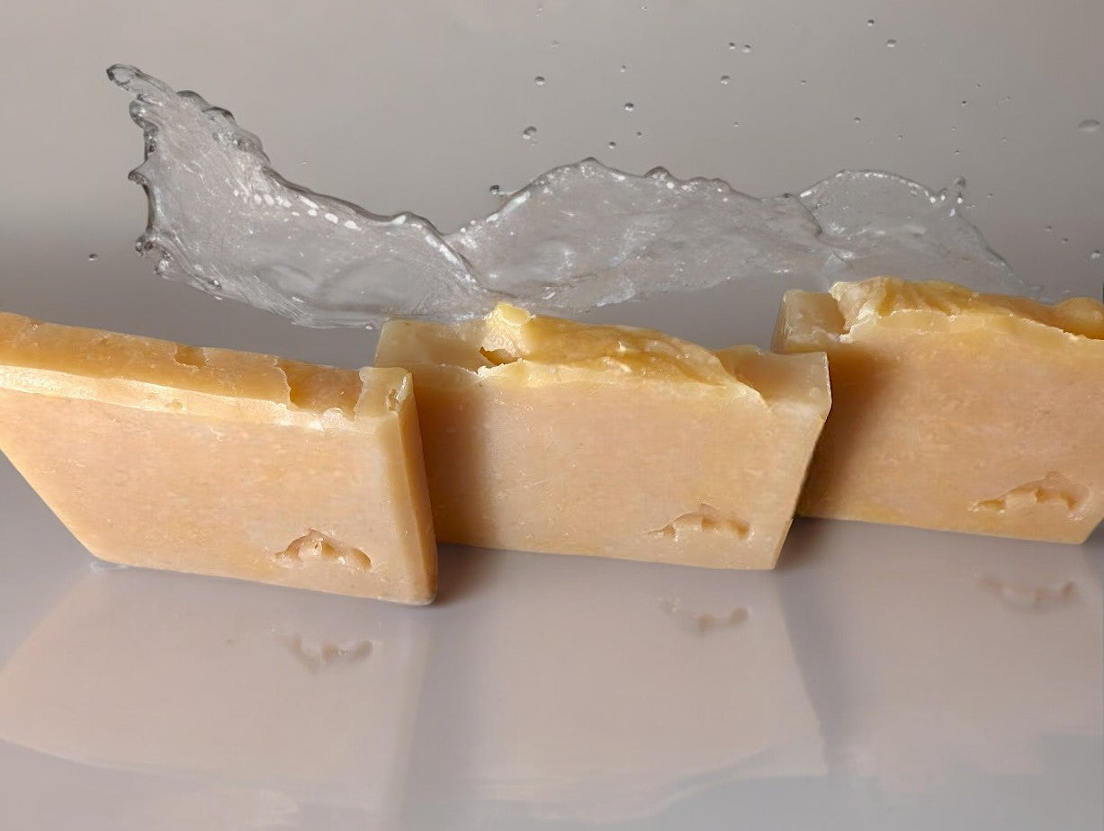 This artisan goat milk and sea moss soap is named 'Hawaiian Aloha'and is suited to those looking for more natural soap for their bath and shower products. Single color of yellowish beige with a dolphin stamped on the front.  Scented with Plumeria.  Available in Hotel sized bars that are perfect for travel or guests.