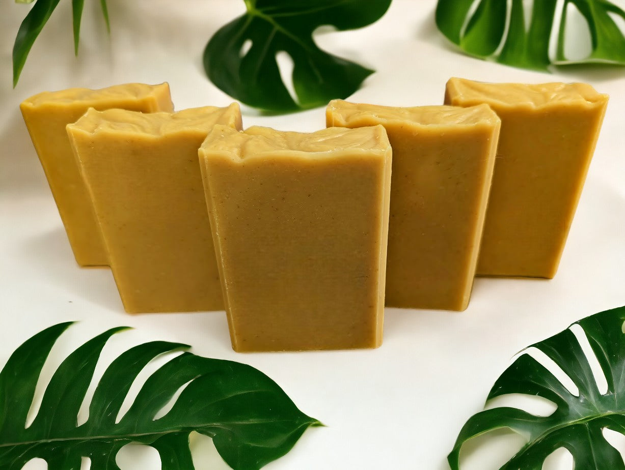 Handmade, bubbly soap bar for your skin care needs with great lather. Medium yellow in color, scented with Lemon.  Available in 3 Sizes.  Small and Travel soap bars stamped with clown fish, dolphin or sea horse.  Features Avocado Oil, Mango Butter, Colloidal Oats, Soap Nuts and Kaolin Clay.