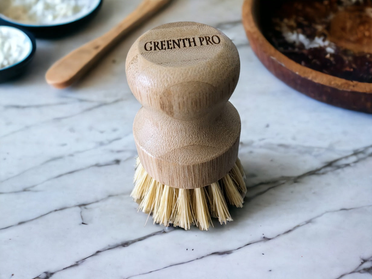 Zero waste dish brushes